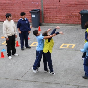 Día de la Actividad Física